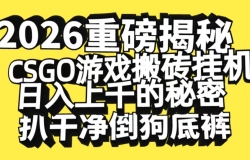 2026�����ذ����ܣ�CSGO��Ϸ��ש�һ�������ǧ�����ܣ��ѵ����ĵ׿�Ǹ�