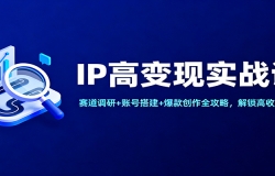 IP߱ʵսΣ+˺Ŵ+ȫԣ벼