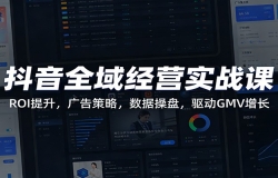 ����ȫ��Ӫʵս�Σ�ROI�����������ԣ����ݲ��̣�����GMV����