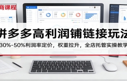 拼多多高利润铺链接玩法:30%–50%利润率定价,权重拉升,全店托管实操教学