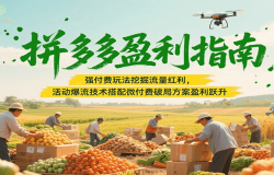 拼多多盈利指南:强付费玩法挖掘流量红利,活动爆流技术搭配微付费方案实现