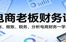 电商老板财务课:对账、做账、税务、分析电商财务一学就会