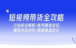 短视频带货全攻略,行业机会解析/账号精准定位/爆款内容创作/数据复盘优化