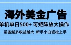 最新蓝海市场,海外美金广告,单设备500+,矩阵放大操作,设备越多收益越大