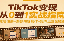 TikTok变现从0到1实战指南:账号注册+爆款内容制作+矩阵运营全链路