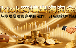 Tiktok跨境出海淘金课,从账号搭建到多项目运作,开启赚钱新路径