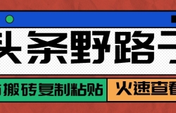 ͷ�����˺�������300+Ұ·���淨���������԰�ש����ճ������ķ���̳�