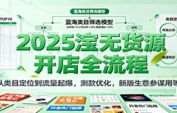 2025淘宝无货源开店全流程,从类目定位到流量起爆,测款优化,新版生意参谋