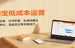淘宝低成本运营,新店出单、好评积累、私域构建及流量转化、选品定位等实操