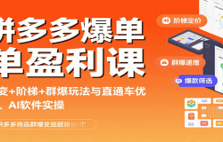 拼多多爆单盈利课:裂变+阶梯+群爆玩法与直通车优化、AI 软件实操