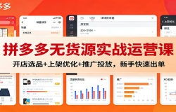 拼多多无货源实战运营课:开店选品+上架优化+推广投放,新手快速出单