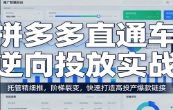 拼多多直通车逆向投放实战:托管精细推,阶梯裂变,快速打造高投产爆款链接