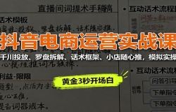 抖音电商运营实战课:千川投放、罗盘拆解、话术框架、小店随心推,模拟实操