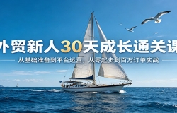 外贸新人30天成长通关课:从基础准备到平台运营,从零起步到百万订单实战