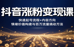 抖音涨粉变现课,快速起号流程+内容方向+情绪价值构建与百万流量撬动方法
