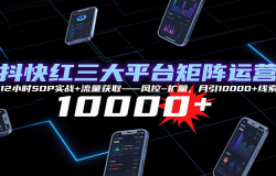 抖快红三大平台矩阵运营,12小时SOP实战+流量获取-风控-扩量,月引10000+线