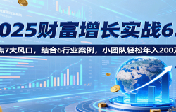 2025财富增长实战6.0,聚焦7大风口,结合6行业案例,小团队轻松年入200万!