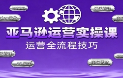 亚马逊运营实操课,选品策略,选品重点、广告最新打法、大促细节优化等(更