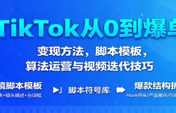 TikTok从0到爆单:变现方法,脚本模板,算法运营与视频迭代技巧
