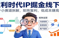微利时代IP掘金线下课:30个小赛道拆解,矩阵复利,低成本赚高利润