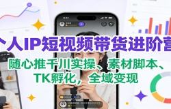 个人IP短视频带货进阶营:随心推千川实操、素材脚本、TK孵化,全域变现